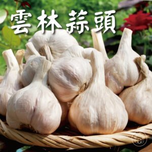 雲林蒜頭