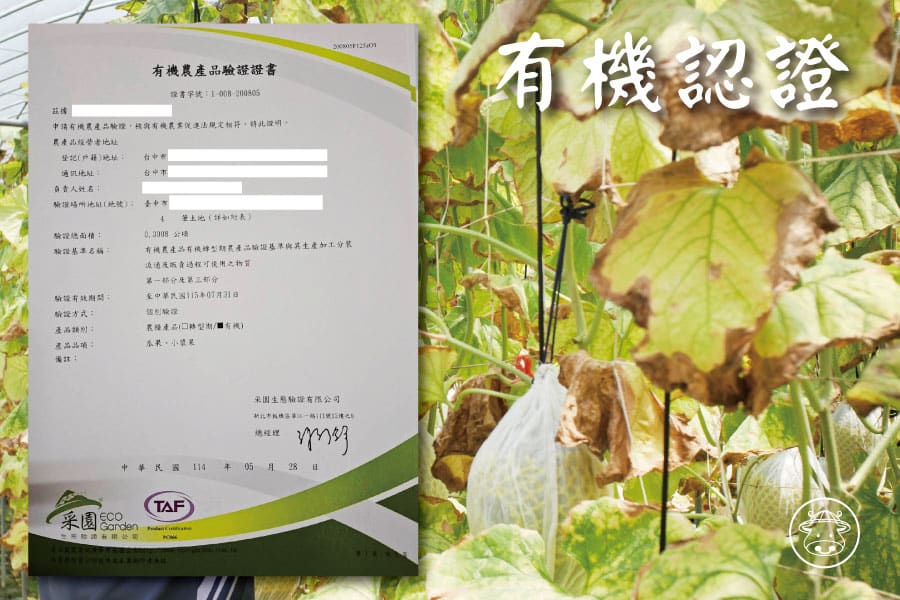 卡蜜拉哈密瓜銷售007