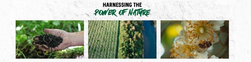 nature e1755594165874