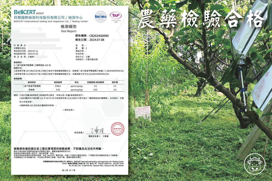 上海蜜水蜜桃銷售003 2