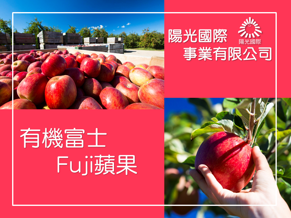 紐西蘭有機蘋果富士蘋果