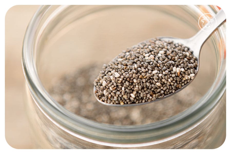 奇亞籽為什麼是超級食物？5大營養重點+正確吃法指南