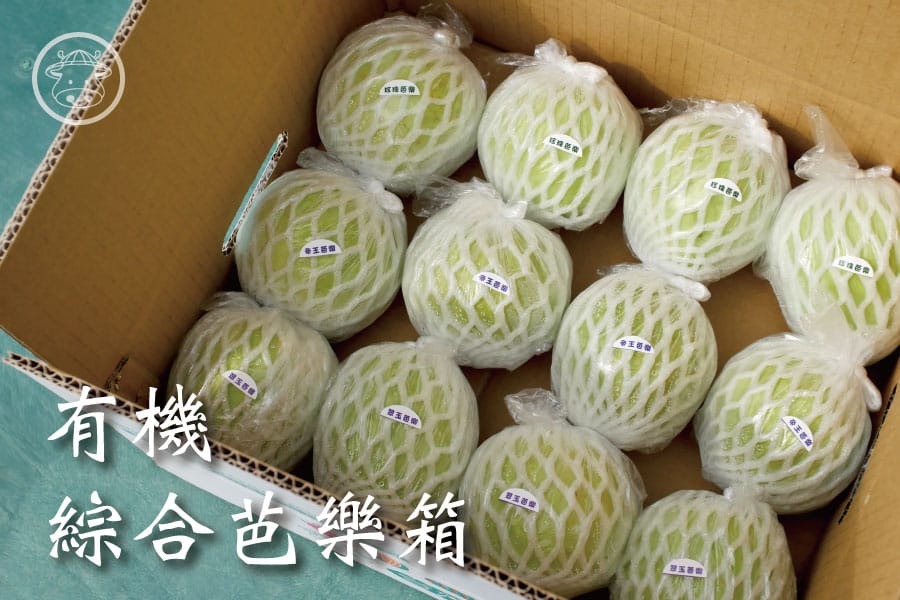 綜合芭樂