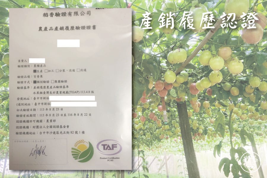 粉紅玫瑰百香果銷售007