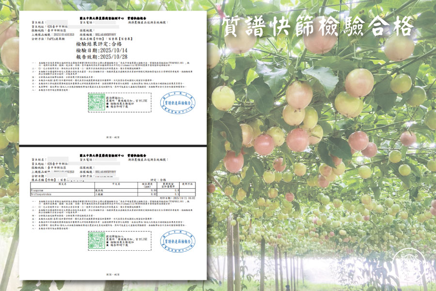 粉紅玫瑰百香果銷售008