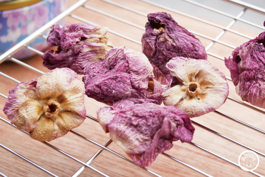 有機芙蓉花茶/有機芙蓉花/有機乾燥芙蓉花