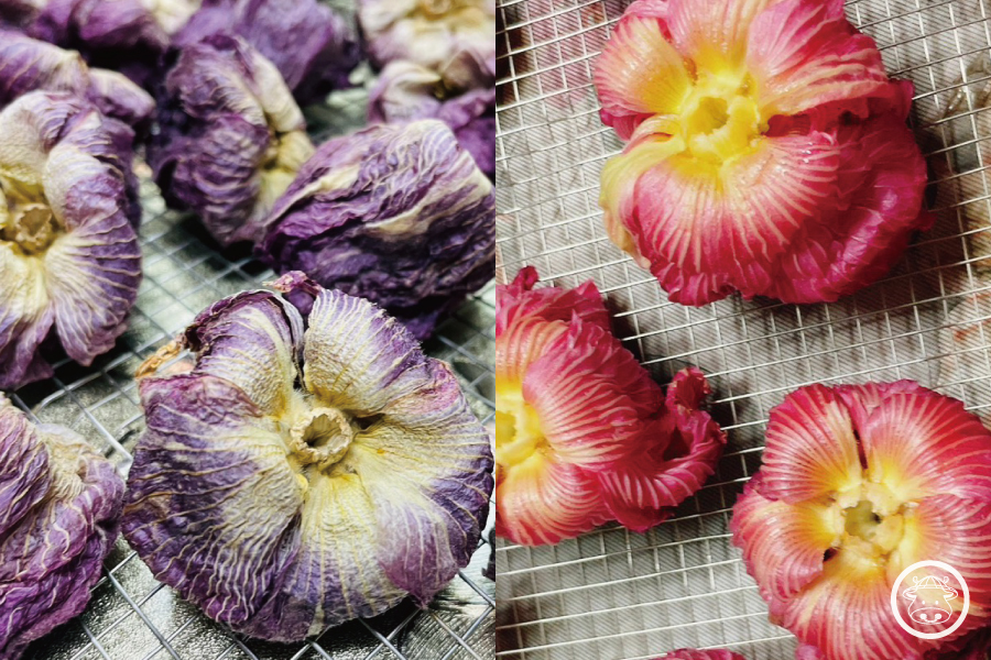 有機芙蓉花銷售012