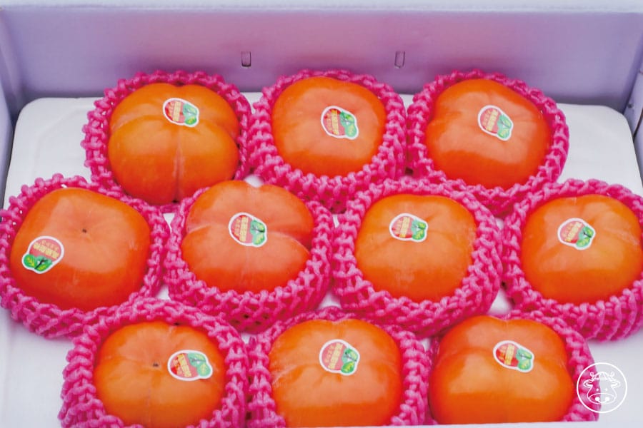 梨山甜柿銷售004