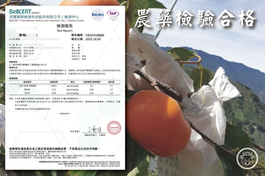 梨山甜柿銷售016