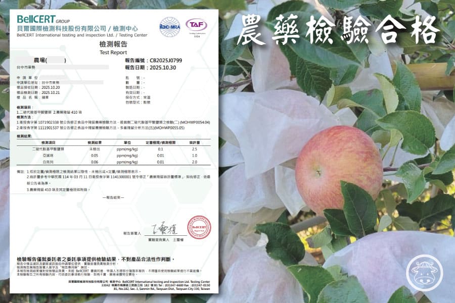 梨山蜜蘋果銷售011 1