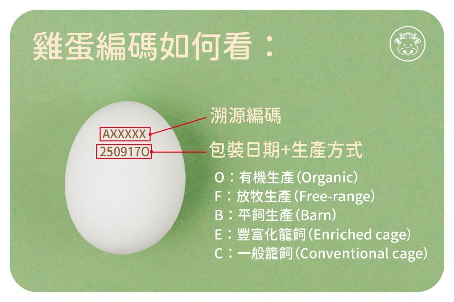 【雞蛋安全懶人包】看懂溯源編碼、認識芬普尼Fipronil，安心選蛋不踩雷！
