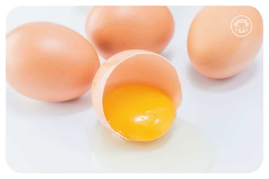 【雞蛋安全懶人包】看懂溯源編碼、認識芬普尼Fipronil，安心選蛋不踩雷！