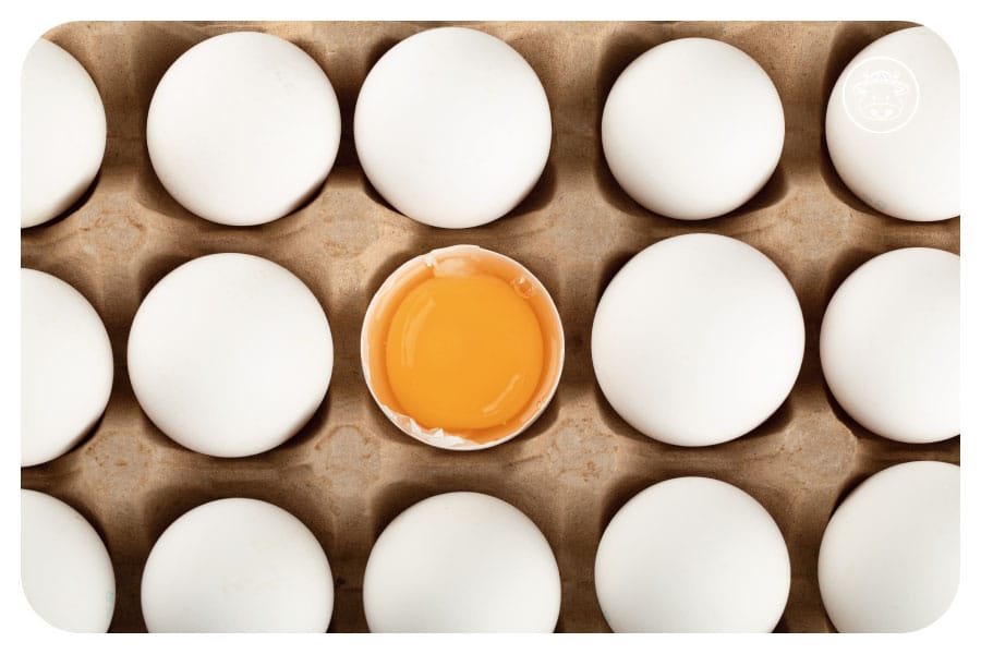 【雞蛋安全懶人包】看懂溯源編碼、認識芬普尼Fipronil，安心選蛋不踩雷！