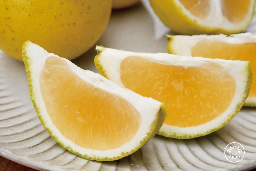 老欉三寶柑(甜檸檬)