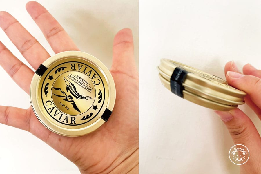 樂山莊鱘龍魚銷售020