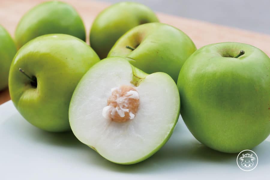 六龜雪麗蜜棗/蜜棗/棗子