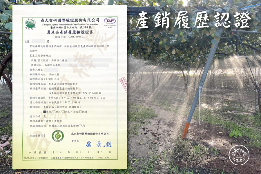 小同蜜棗銷售09