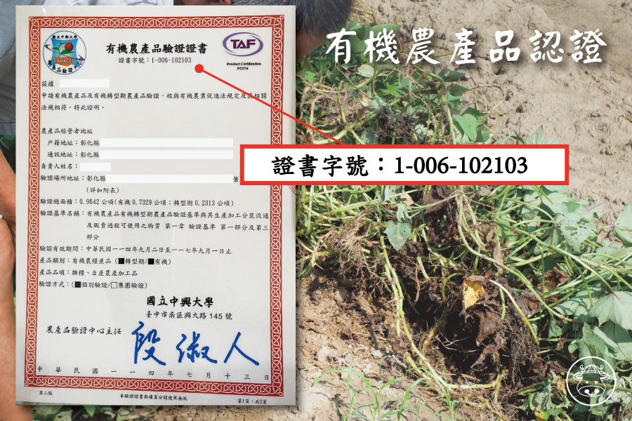 有機金蜜地瓜銷售015