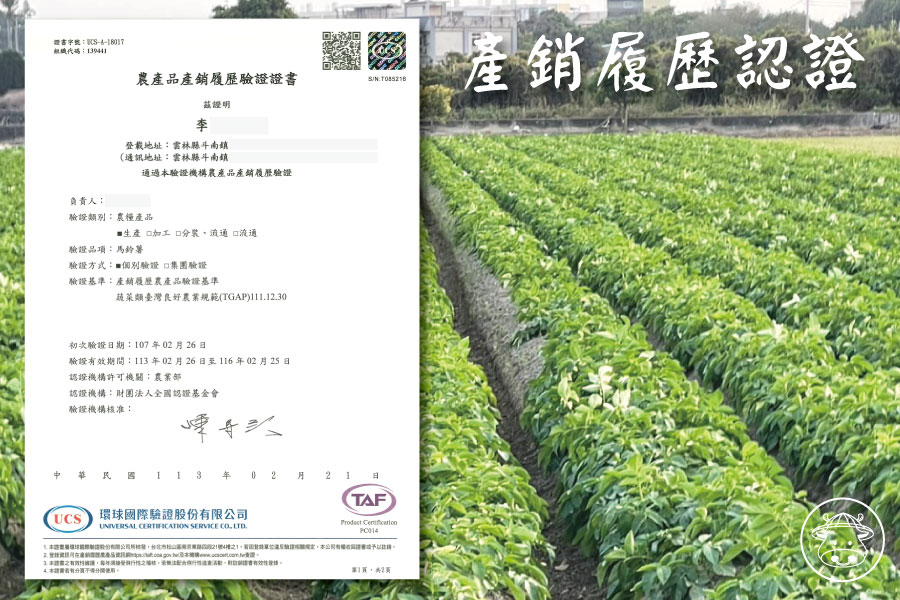 斗南馬鈴薯銷售005