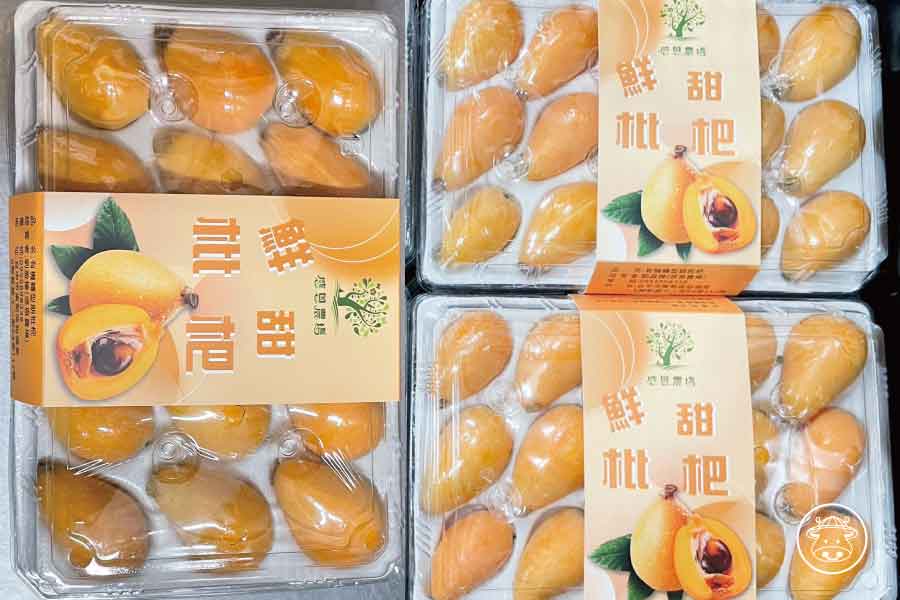 《有機枇杷》(轉型期)嬌嫩細緻美味 8 有機枇杷銷售009