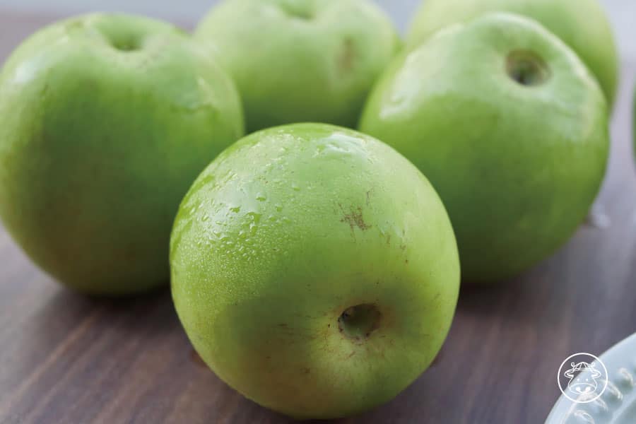 六龜珍蜜蜜棗/蜜棗/棗子