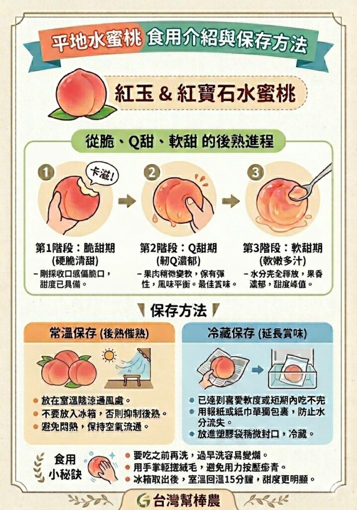 平地水蜜桃說明書