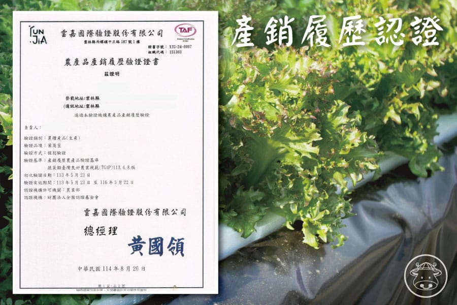 溫室水耕蔬菜銷售017