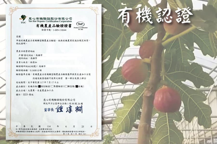 無花果銷售004