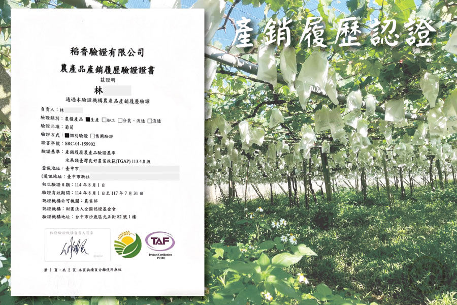 新社葡萄銷售019