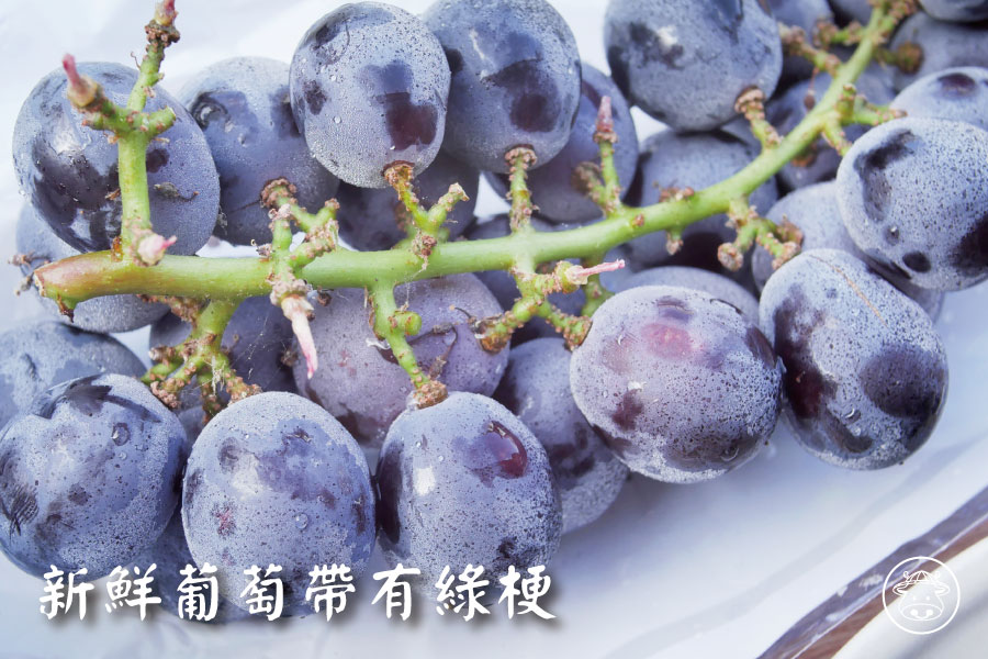 溪湖巨峰葡萄銷售013
