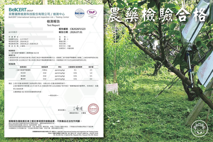 上海蜜水蜜桃銷售003 3