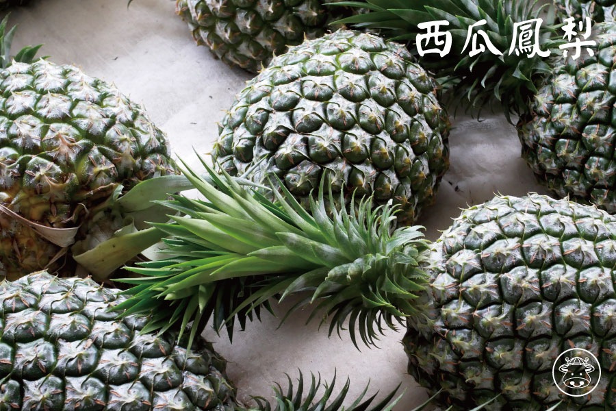 林內西瓜鳳梨銷售003 1
