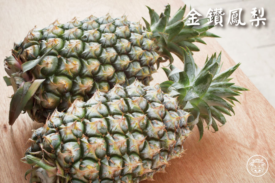 林內 友善耕作《西瓜鳳梨/金鑽鳳梨/鳳梨果乾》果肉細緻、紮實美味 11 林內金鑽鳳梨銷售001 1