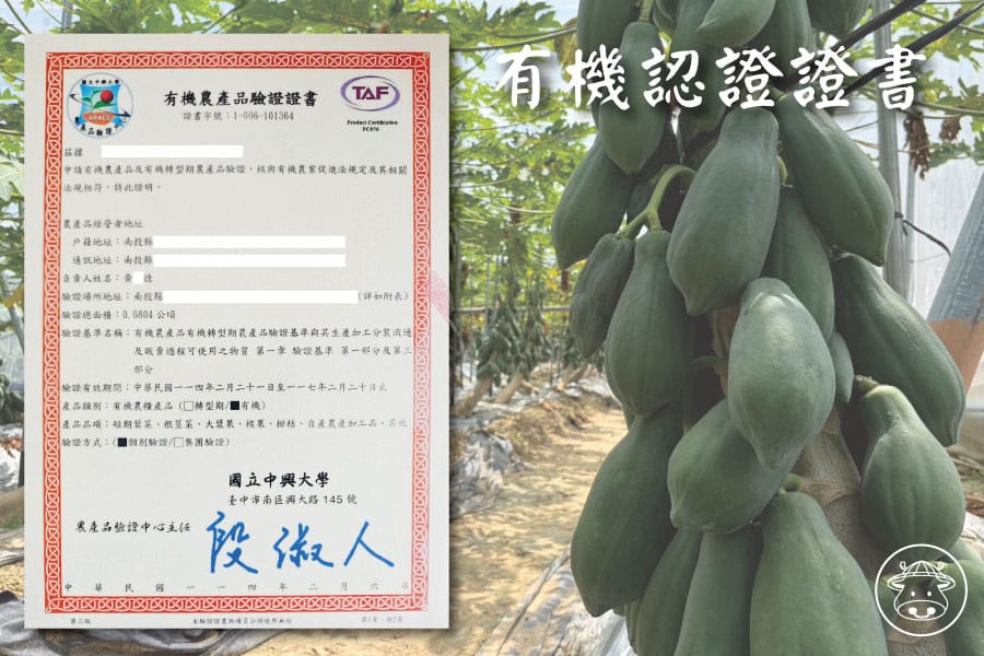 有機木瓜銷售007