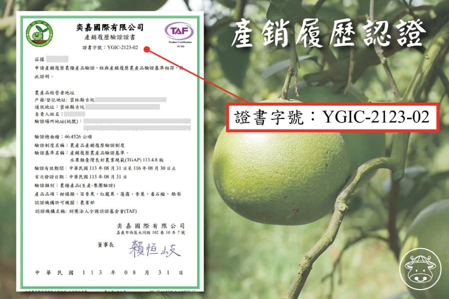 綠寶石葡萄柚銷售007