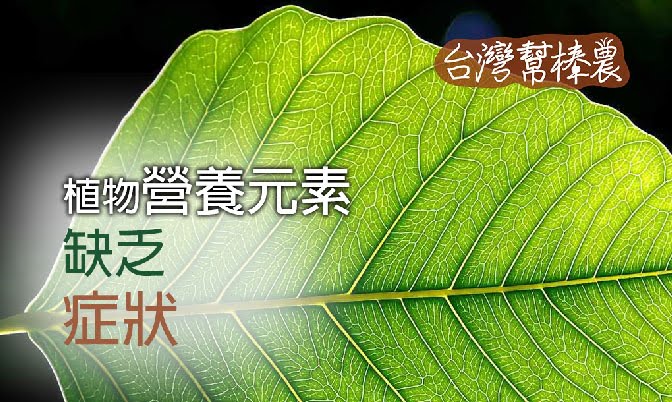 植物營養元素缺乏症狀-摩登農夫