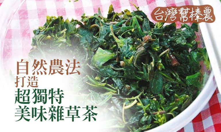 自然農法 打造超獨特美味雜草茶