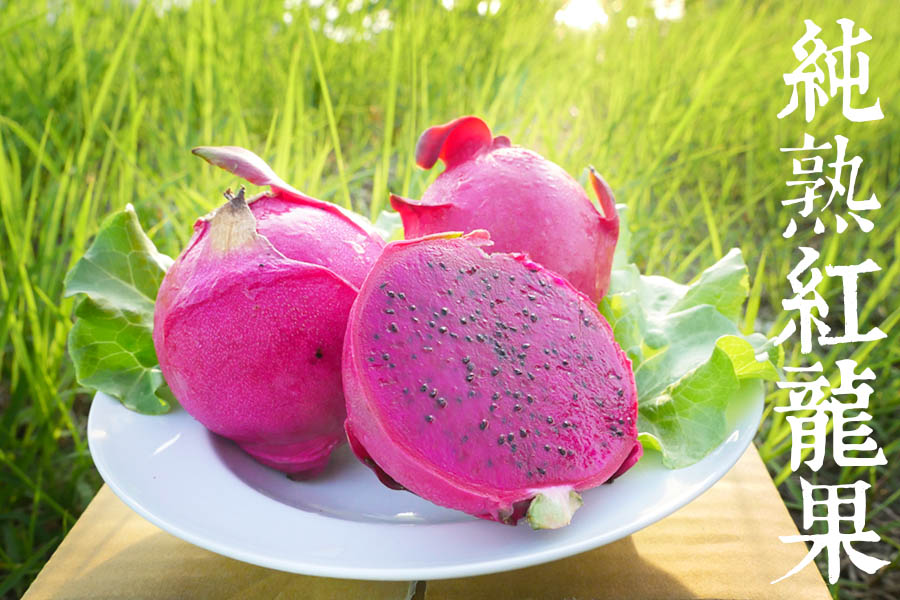 pitaya01