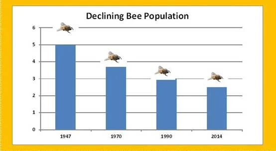 bee1