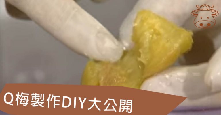 Q梅製作DIY大公開