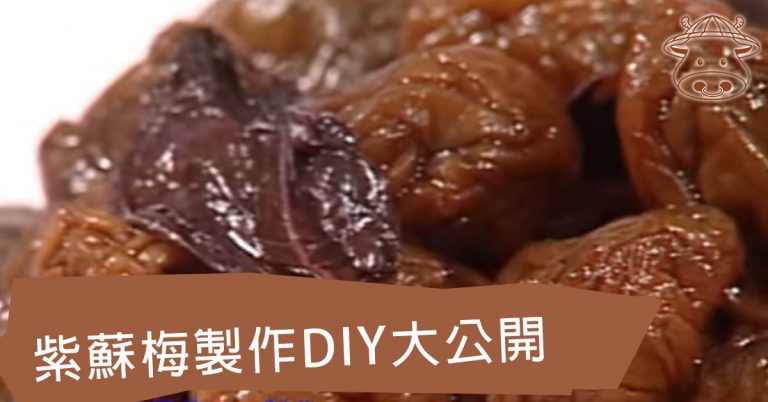 紫蘇梅製作DIY大公開