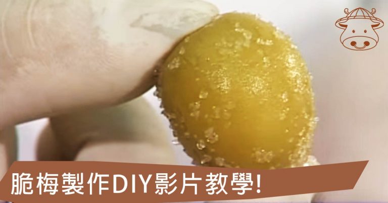 脆梅製作DIY大公開