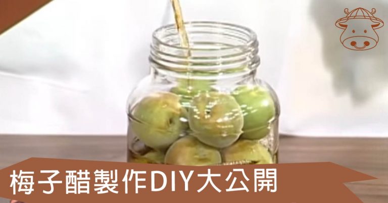 梅子醋製作DIY大公開