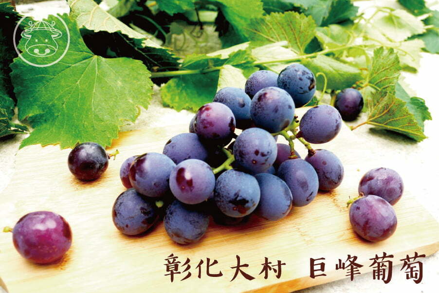 images grape grapelai grape02 01