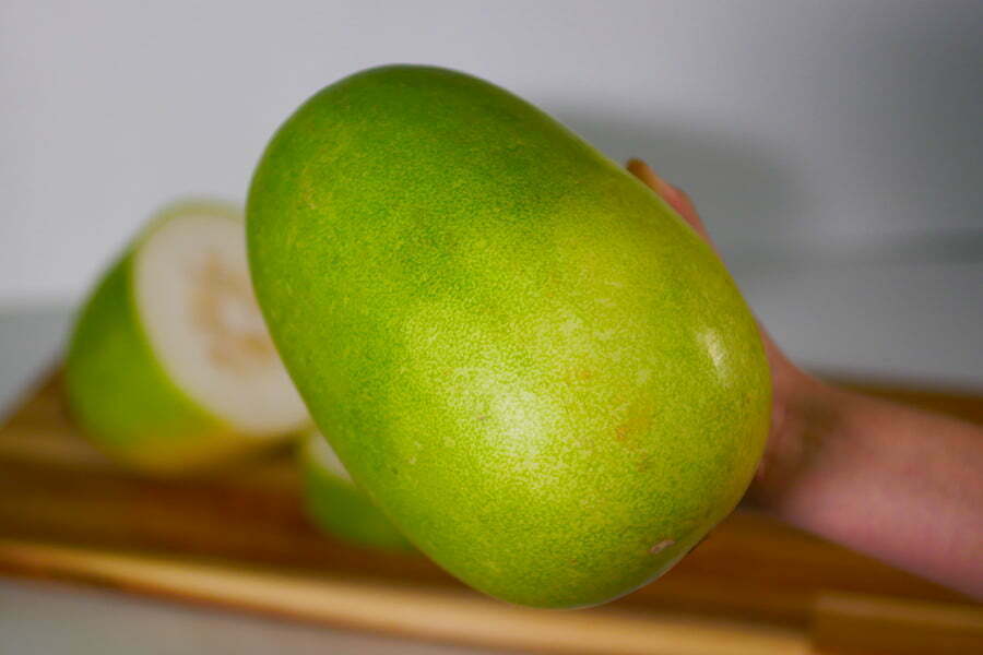 winter melon005