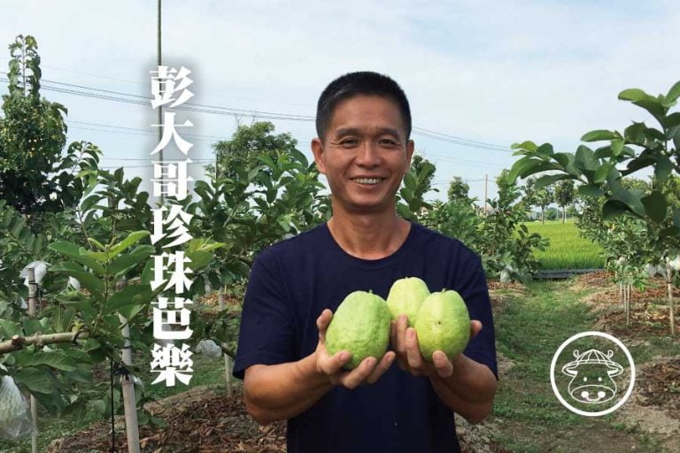 他里霧 《珍珠芭樂》 果肉豐厚，脆甜好吃有芭樂味哦！