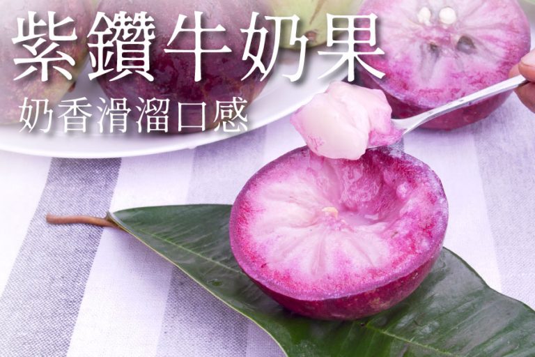 《紫鑽牛奶果》 網路訂購單