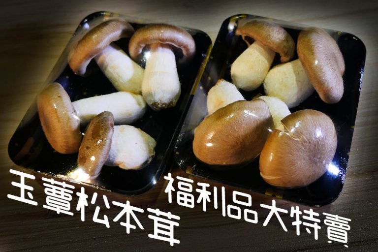 「玉蕈松本茸」福利品大特賣 31 「玉蕈松本茸」福利品大特賣