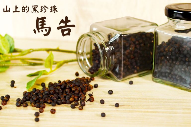 《馬告(山胡椒)》 醃漬料理，提升風味