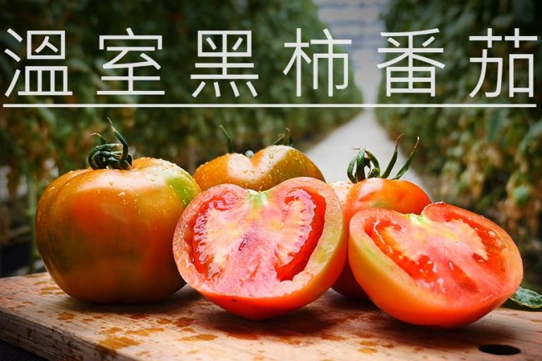 《溫室黑柿番茄》 古早味沾薑汁醬油膏 一級棒 1 《溫室黑柿番茄》 古早味沾薑汁醬油膏 一級棒